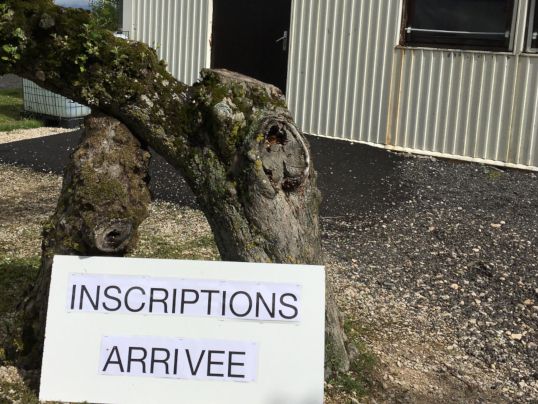 Odoo - Echantillon n°1 pour trois colonnes