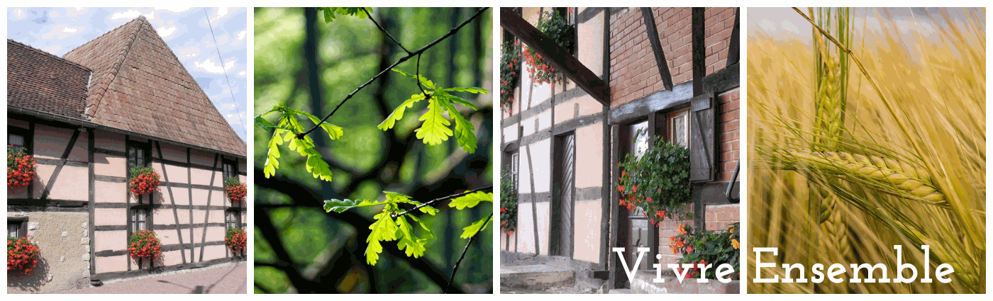 Odoo • Texte et Image