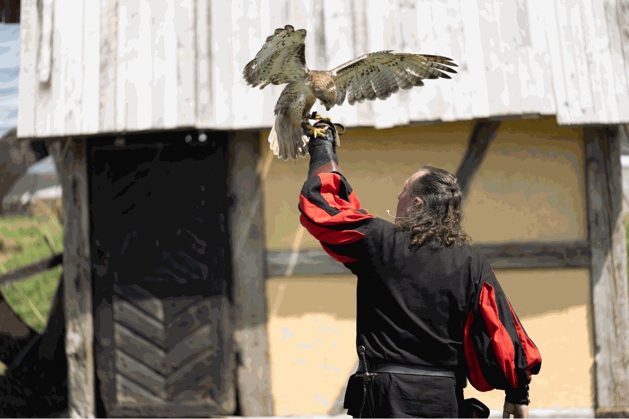 Odoo • Image et Texte