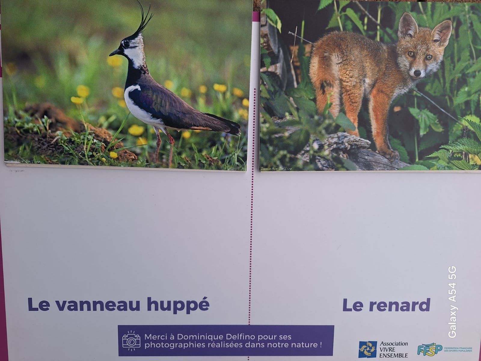 Odoo • Texte et Image